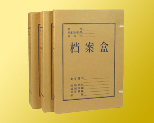 牛皮纸档案盒 (2)
